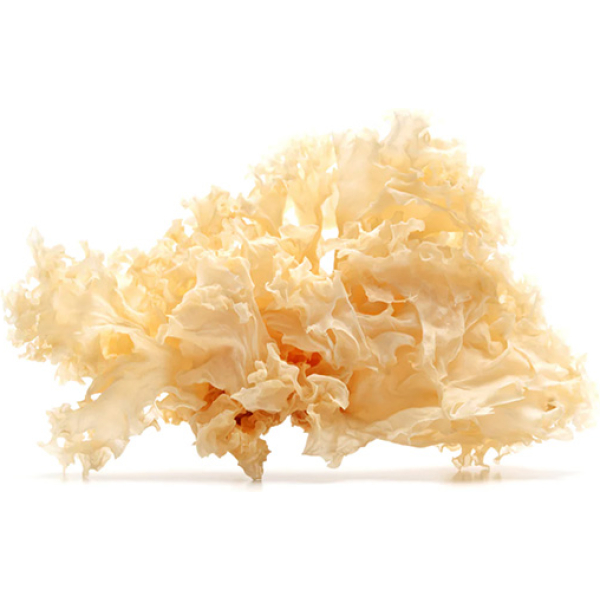 Dried White Fungus